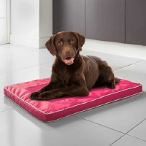 BMStores  Air Flow Dog Mat - Pink