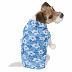Dog Outfit - Medium-Large - Blue Shirt