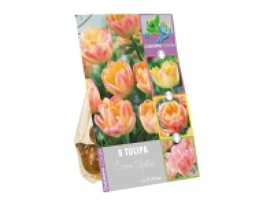 Colour Changing Bulbs £1.79