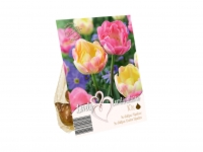 Colour Mix Bulbs £1.89
