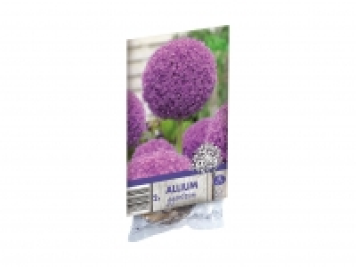 Allium Bulbs £3.69