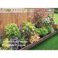 Wickes  Garden on a Roll Mixed Shady Plant Border - 600mm x 7m