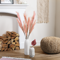 HomeBargains  Forever Faux Coral Pampas Grass 5 Pack