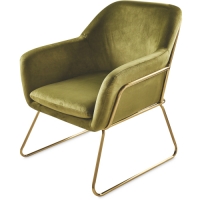 Aldi  Metal Frame Olive Arm Chair