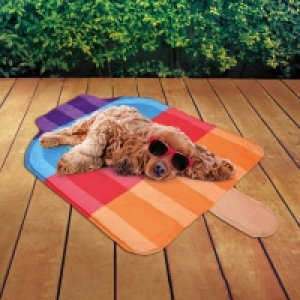 Pet Ice Lolly Cooling Mat - Rocket