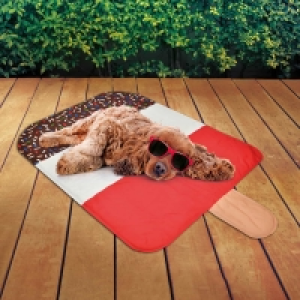 Pet Ice Lolly Cooling Mat - Fab