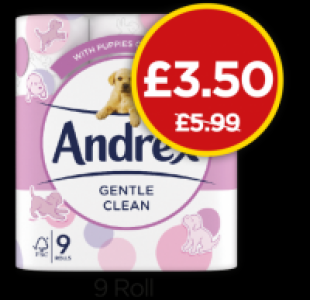 Andrex Gentle Clean Toilet Tissues