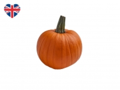 British Medium Pumpkin £0.59