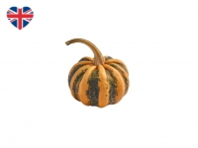 British Seasonal Squash £1.29