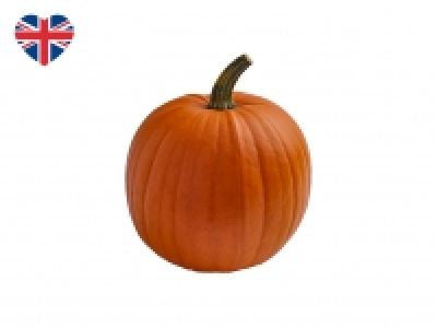 British Large Pumpkin £0.99