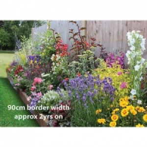 Wickes  Garden on a Roll Wildlife Plant Border - 600mm x 5m
