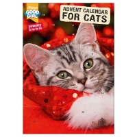 QDStores  Good Girl Advent Calendar For Cats