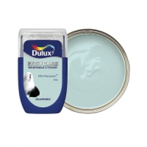 Dulux Easycare Washable & Tough - Mint Macaroon - Paint Test £2.00