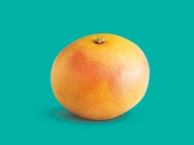 Grapefruit