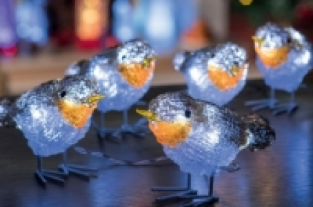 LED Ice White Outdoor Robin Decorative Light Set oF Five Mai £22.99