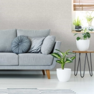 Cine Wallpaper - Neutral