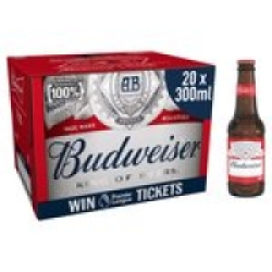 Budweiser Lager Beer Bottles £14.00