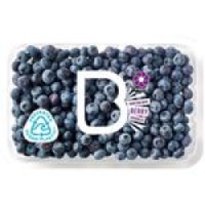 BerryWorld Blueberries £4.75