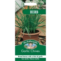 BMStores  Garlic Chives Herb Seeds