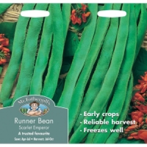 Runner Bean Scarlet Emperor Seeds