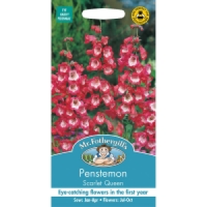 Penstemon Scarlet Queen Seeds