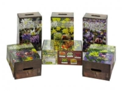 Bulb Assortment £3.99