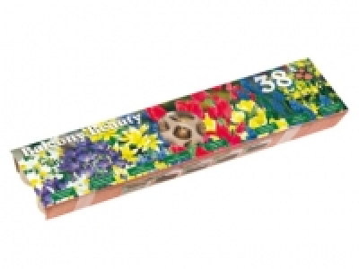 Balcony Beauty Flowering Bulb Planting Tray