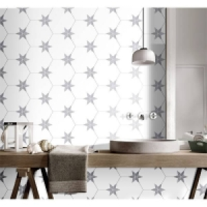 Porcelain Hexagon Pattern Wall & Floor Tile - 250 x 220mm