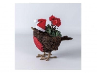 Robin Planter
