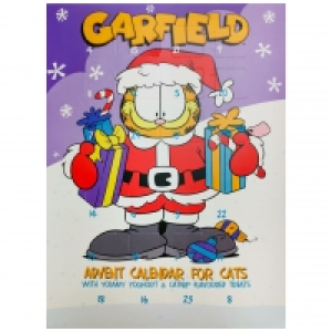 Garfield Cat Advent Calendar 70g