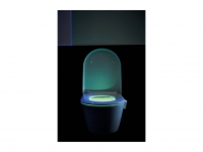 Toilet Night Light