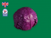 Lidl  Red Cabbage