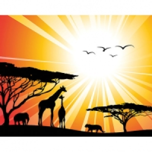 ohpopsi Sunset Safari Wall Mural - XL 3.5m (W) x 2.8m (H)