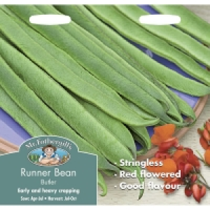 BMStores  Runner Bean Butler Stringless Seeds
