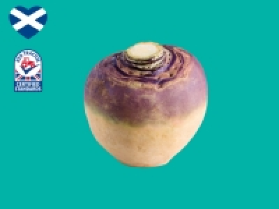 Scottish Swede £0.35