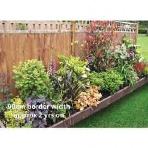 Garden on a Roll Mixed Shady Plant Border - 900mm x 3m