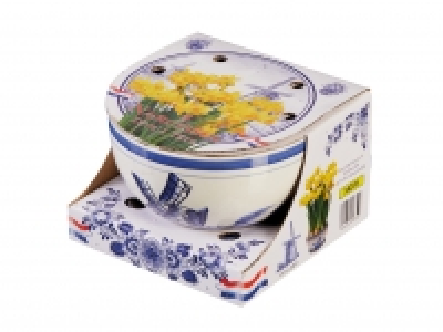 Flowering Bulbs in Ceramic Bowl