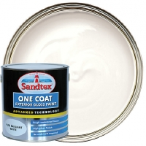 Sandtex One Coat Exterior Gloss Paint - Pure Brilliant White