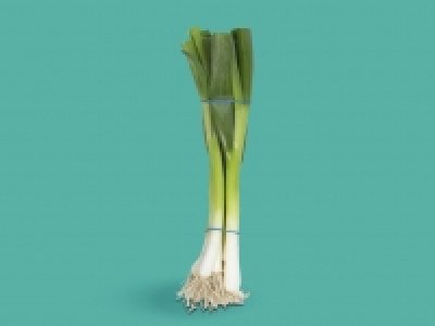 Spring Onions £0.29