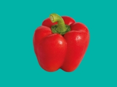 Red Pepper £0.29