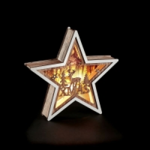 Xmas Stag Star Light Christmas Decoration - 5 Warm White LED £7.99