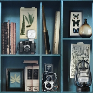 Superfresco Easy Curiosite Biblio Bleu Decorative Wallpaper