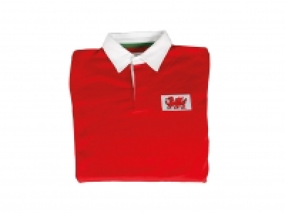 Mens/Ladies Rugby Shirt - Wales