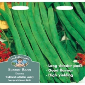 Homebase Well Cultivated, Fertile Soil. Mr. Fothergills Runner Bean Stringless Enorma (Phaseolus Co