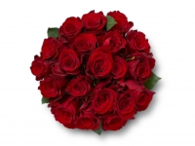 20 Classic Red Roses
