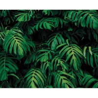 Wickes  ohpopsi Forest Plant Wall Mural - L 3m (W) x 2.4m (H)