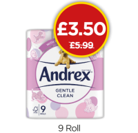Budgens  Andrex Gentle Clean Toilet Tissues