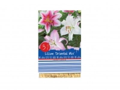 Premium Lily Bulbs £1.99