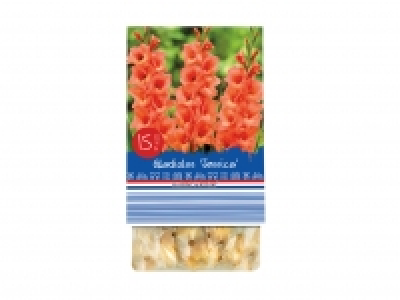 Autumn Flowering Bulbs £1.29