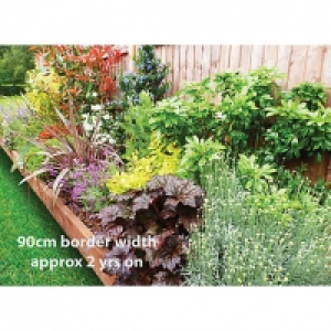 Garden on a Roll Mixed Sunny Plant Border - 600mm x 10m £405.00